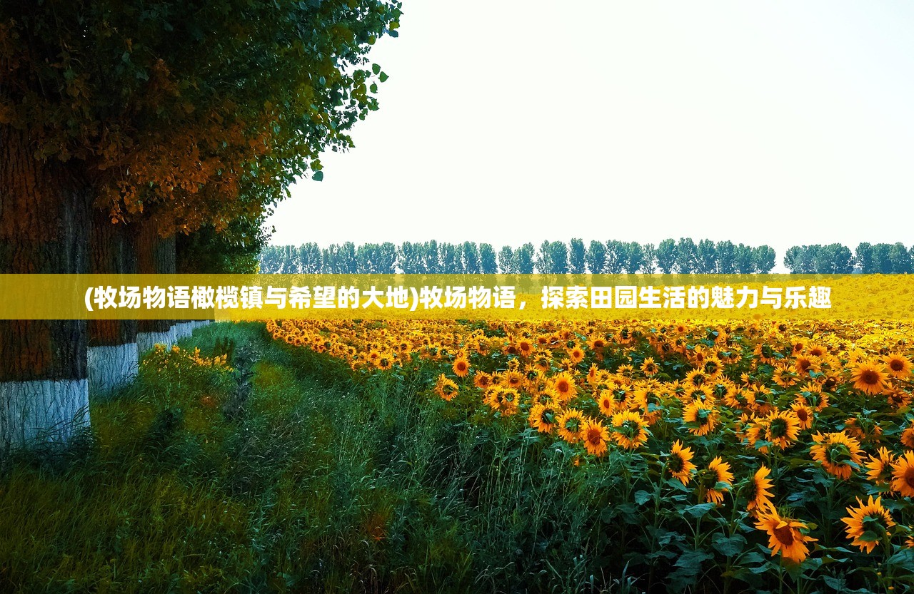 (牧场物语橄榄镇与希望的大地)牧场物语，探索田园生活的魅力与乐趣