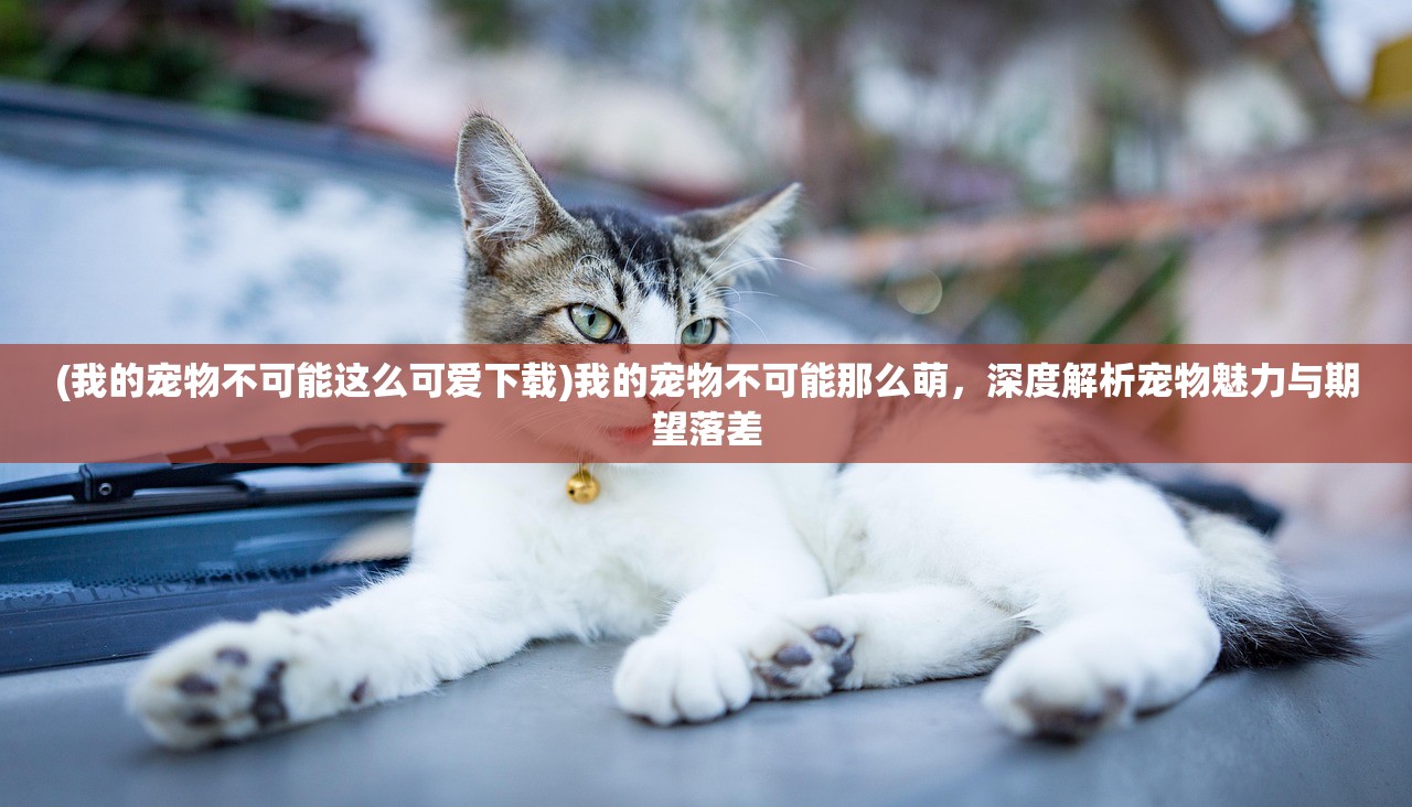 (我的宠物不可能这么可爱下载)我的宠物不可能那么萌，深度解析宠物魅力与期望落差