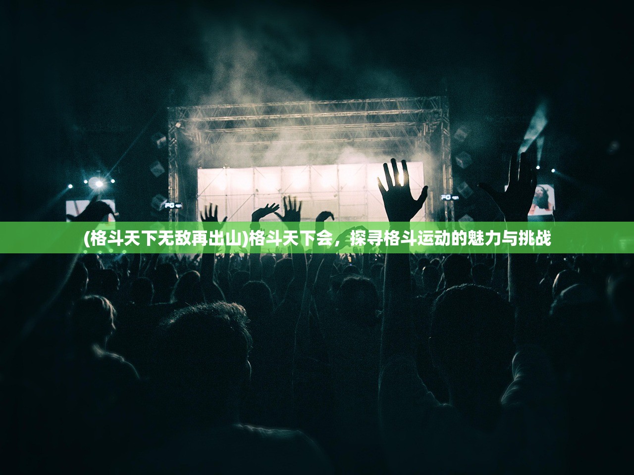 (格斗天下无敌再出山)格斗天下会，探寻格斗运动的魅力与挑战