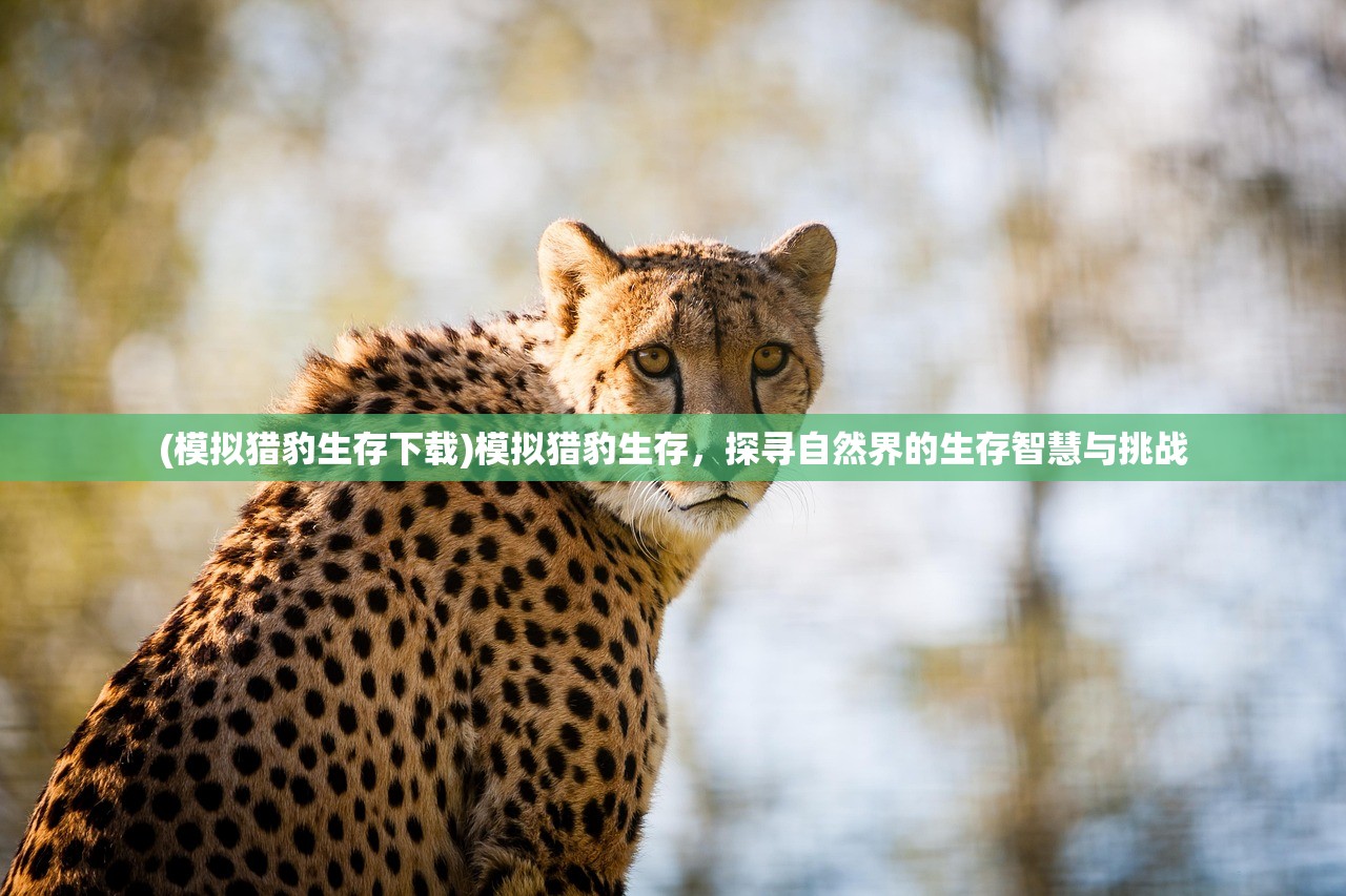 (模拟猎豹生存下载)模拟猎豹生存，探寻自然界的生存智慧与挑战