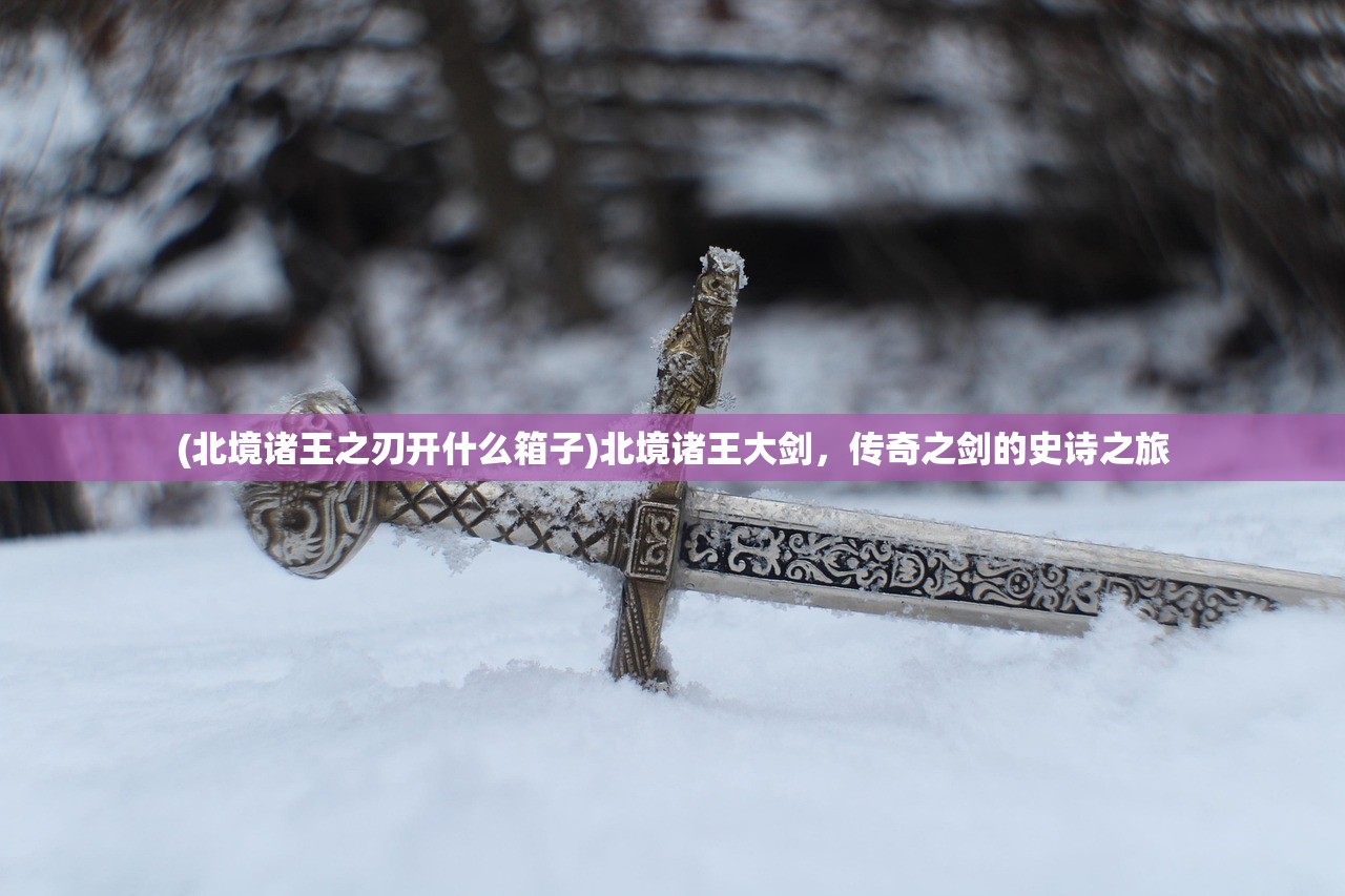 (北境诸王之刃开什么箱子)北境诸王大剑，传奇之剑的史诗之旅