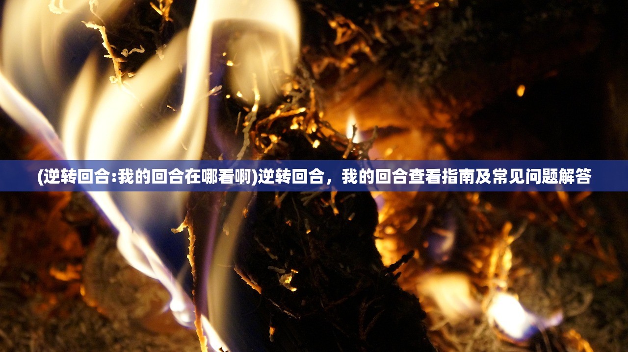 (逆转回合:我的回合在哪看啊)逆转回合，我的回合查看指南及常见问题解答
