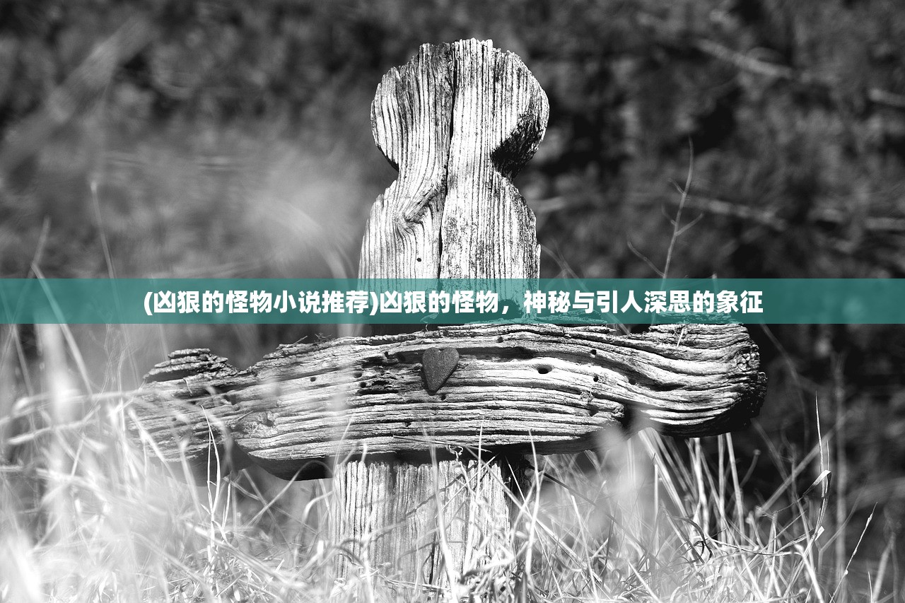 (凶狠的怪物小说推荐)凶狠的怪物，神秘与引人深思的象征