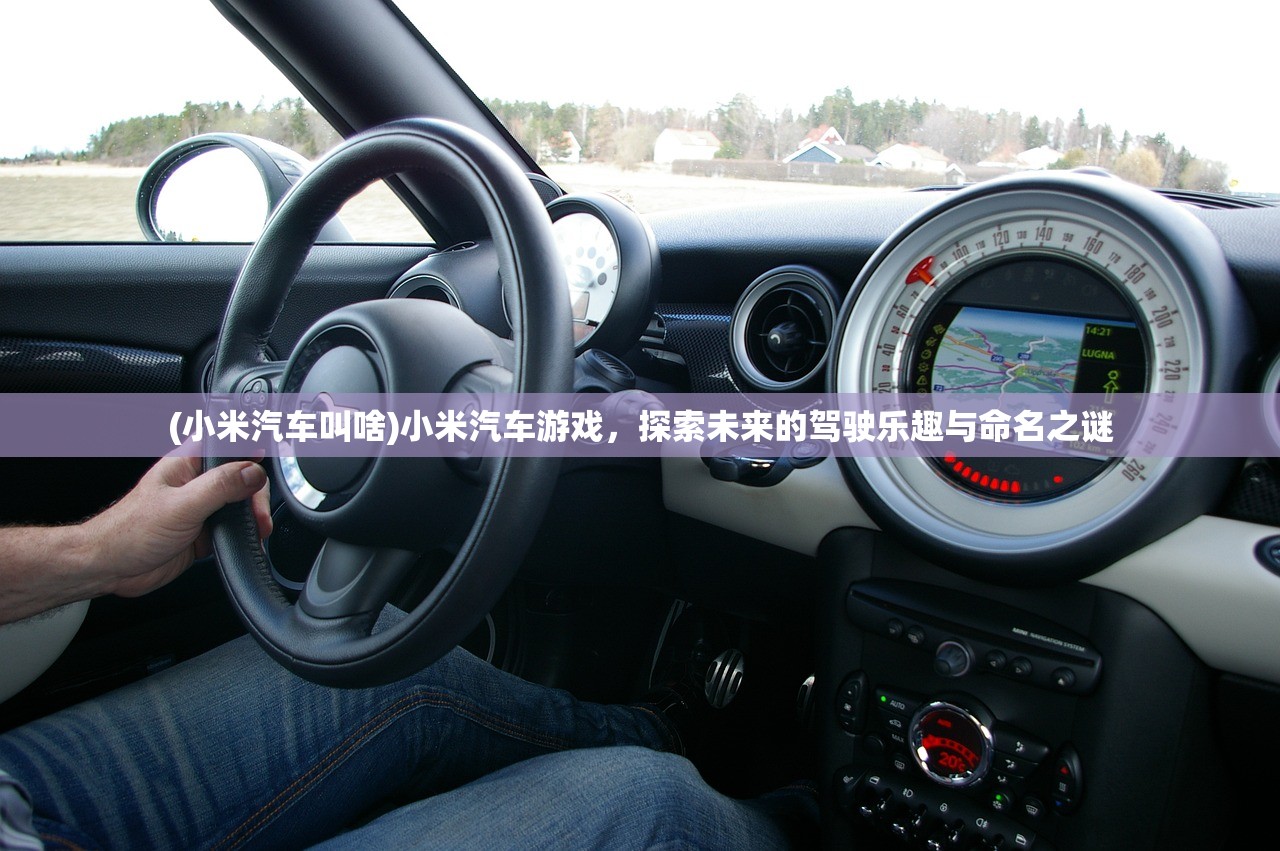 (小米汽车叫啥)小米汽车游戏，探索未来的驾驶乐趣与命名之谜