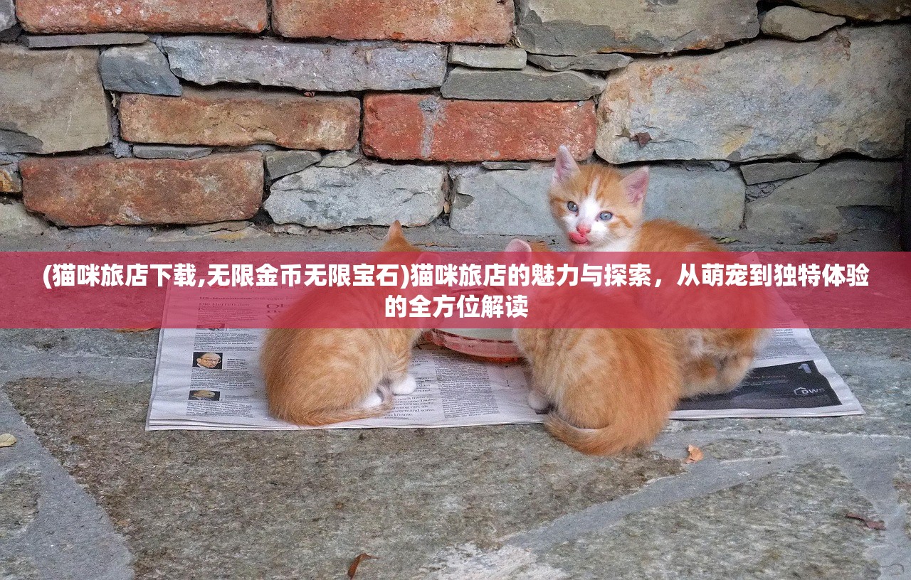 (猫咪旅店下载,无限金币无限宝石)猫咪旅店的魅力与探索，从萌宠到独特体验的全方位解读