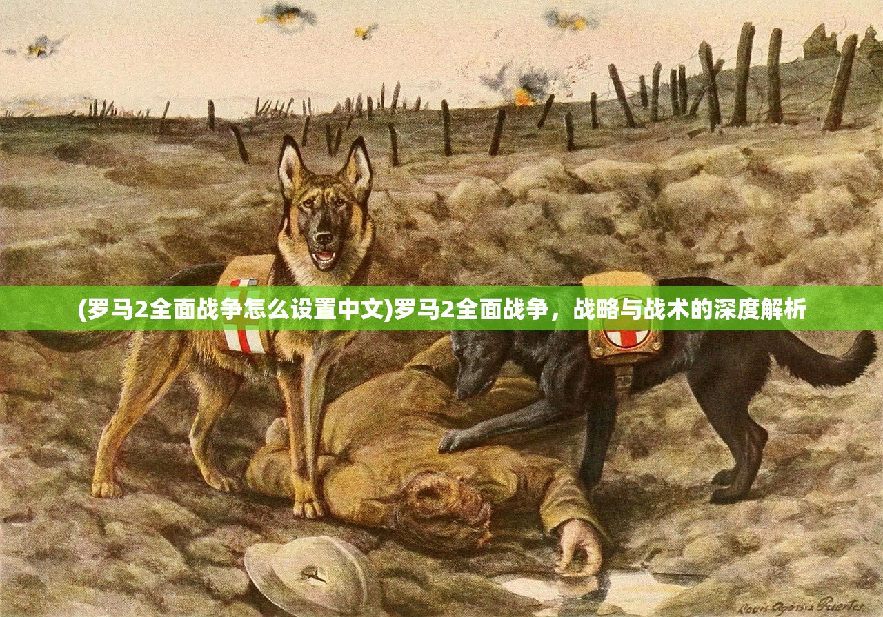 (罗马2全面战争怎么设置中文)罗马2全面战争，战略与战术的深度解析