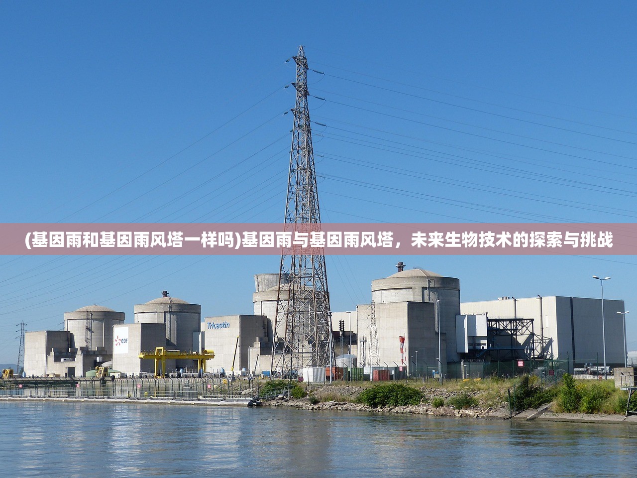 (基因雨和基因雨风塔一样吗)基因雨与基因雨风塔，未来生物技术的探索与挑战