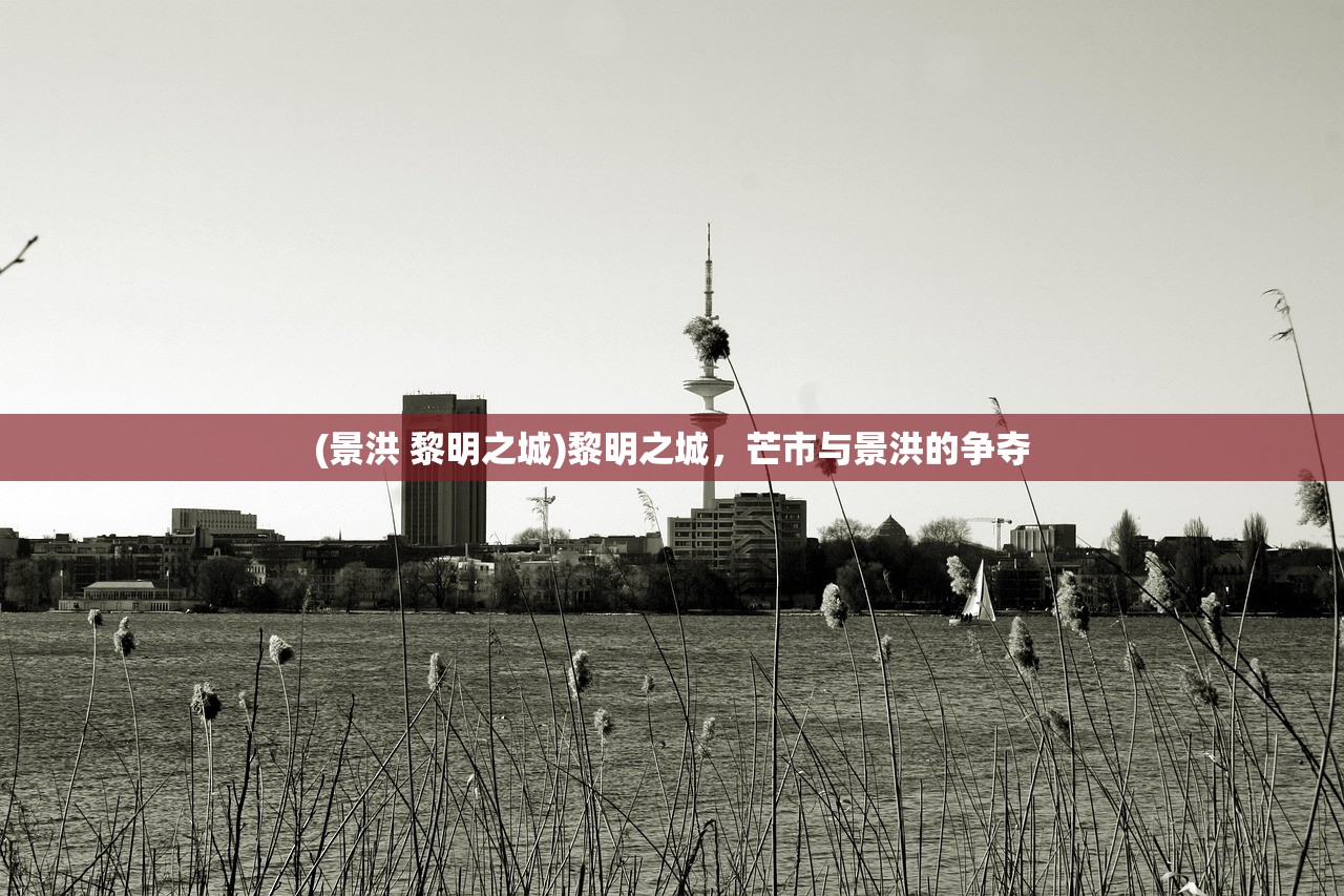 (景洪 黎明之城)黎明之城，芒市与景洪的争夺