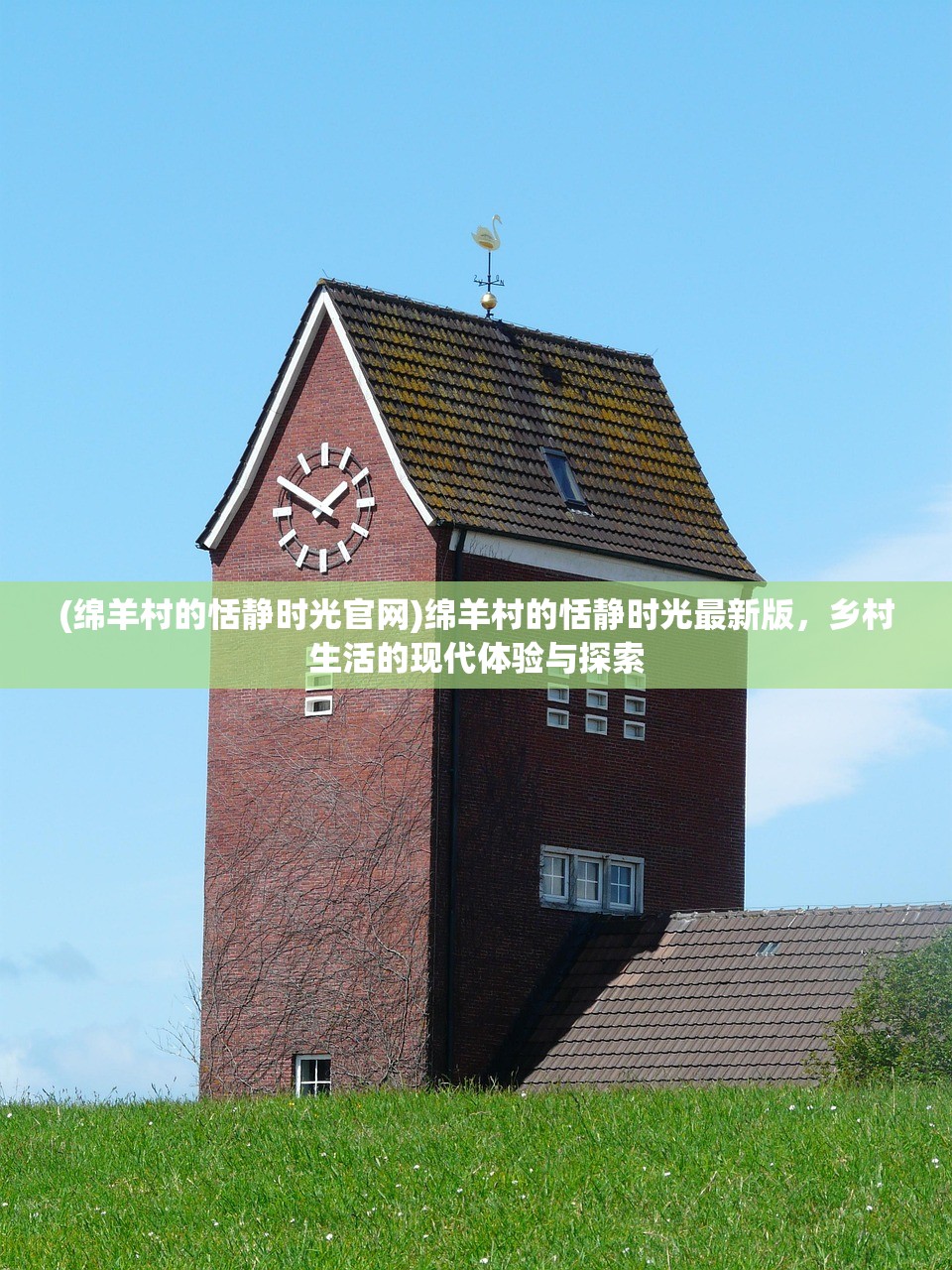 (绵羊村的恬静时光官网)绵羊村的恬静时光最新版，乡村生活的现代体验与探索