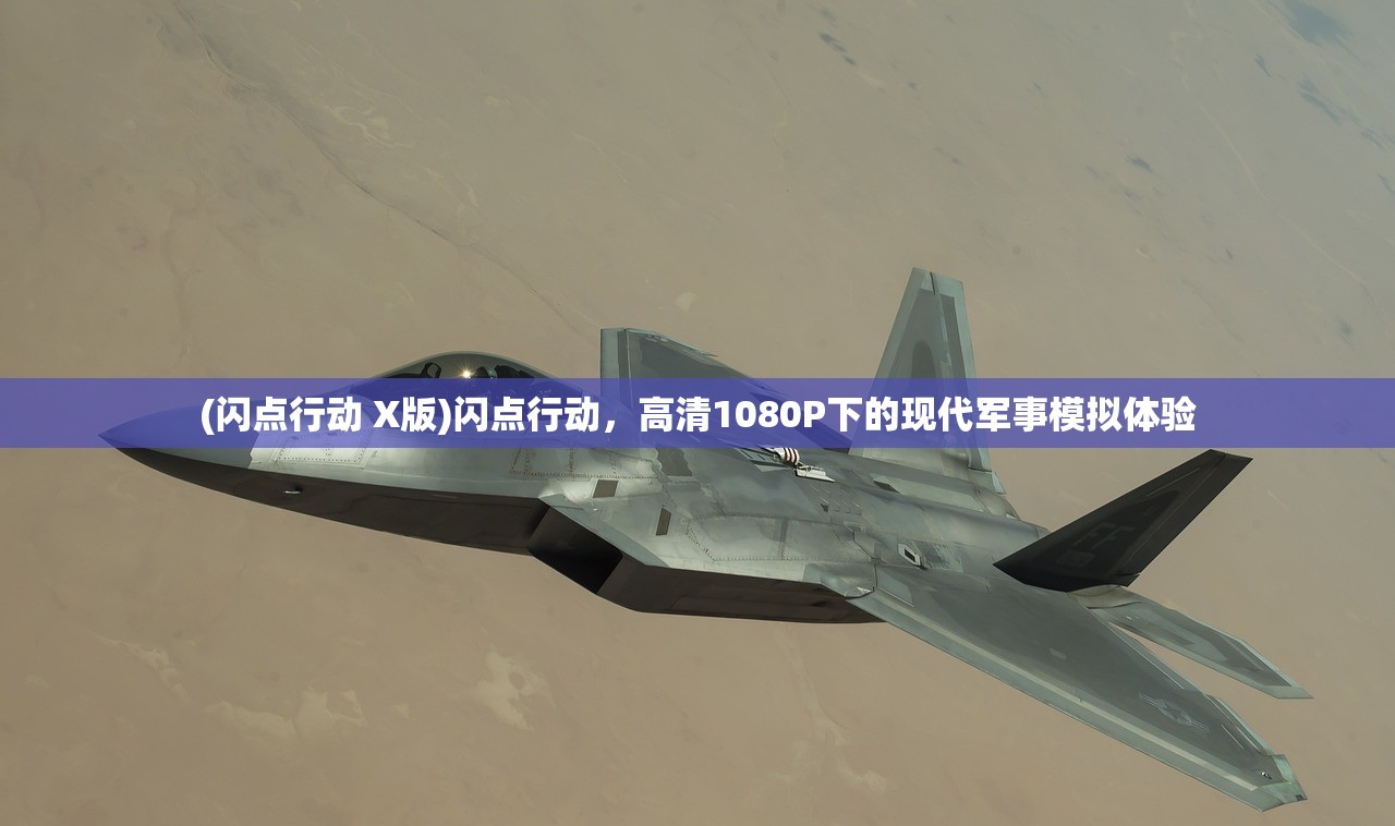 (闪点行动 X版)闪点行动，高清1080P下的现代军事模拟体验