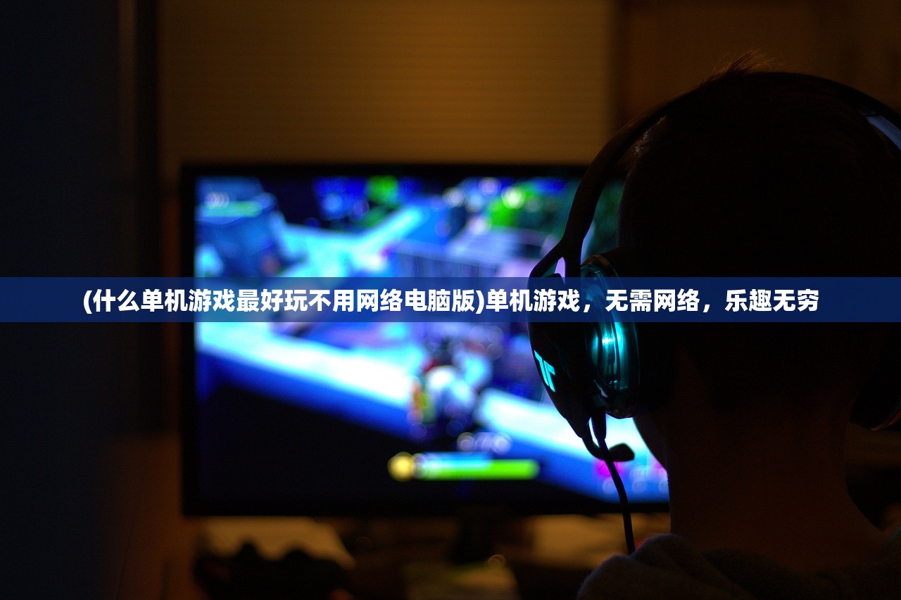 (什么单机游戏最好玩不用网络电脑版)单机游戏，无需网络，乐趣无穷
