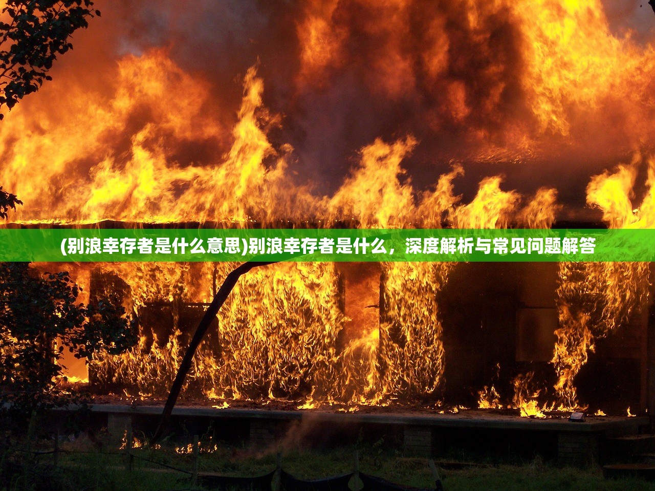 (别浪幸存者是什么意思)别浪幸存者是什么，深度解析与常见问题解答