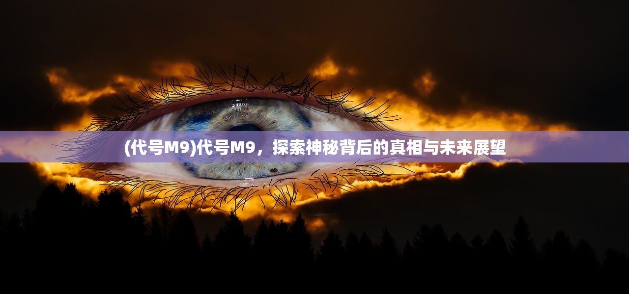 (代号M9)代号M9，探索神秘背后的真相与未来展望