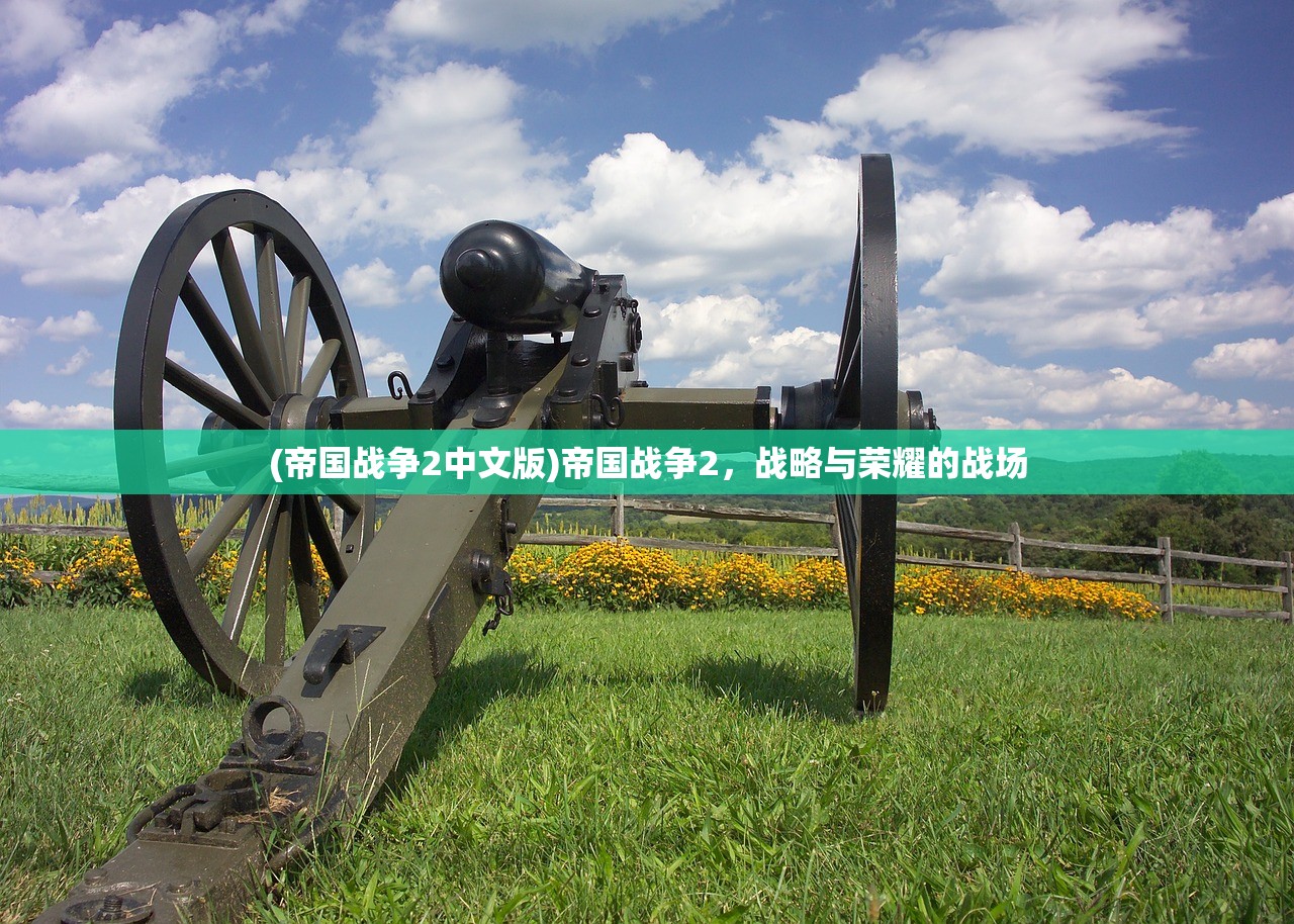 (帝国战争2中文版)帝国战争2，战略与荣耀的战场