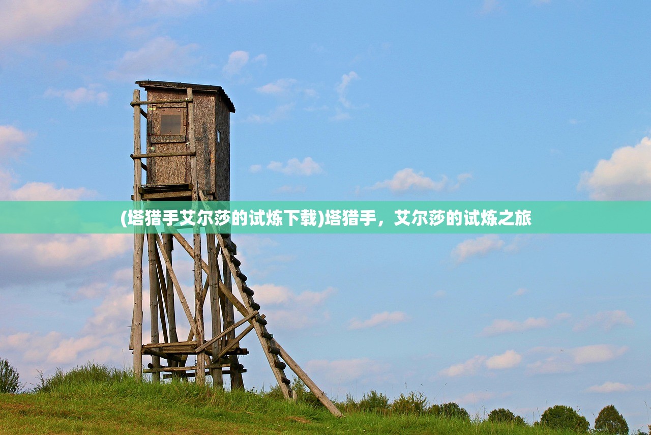 (塔猎手艾尔莎的试炼下载)塔猎手，艾尔莎的试炼之旅