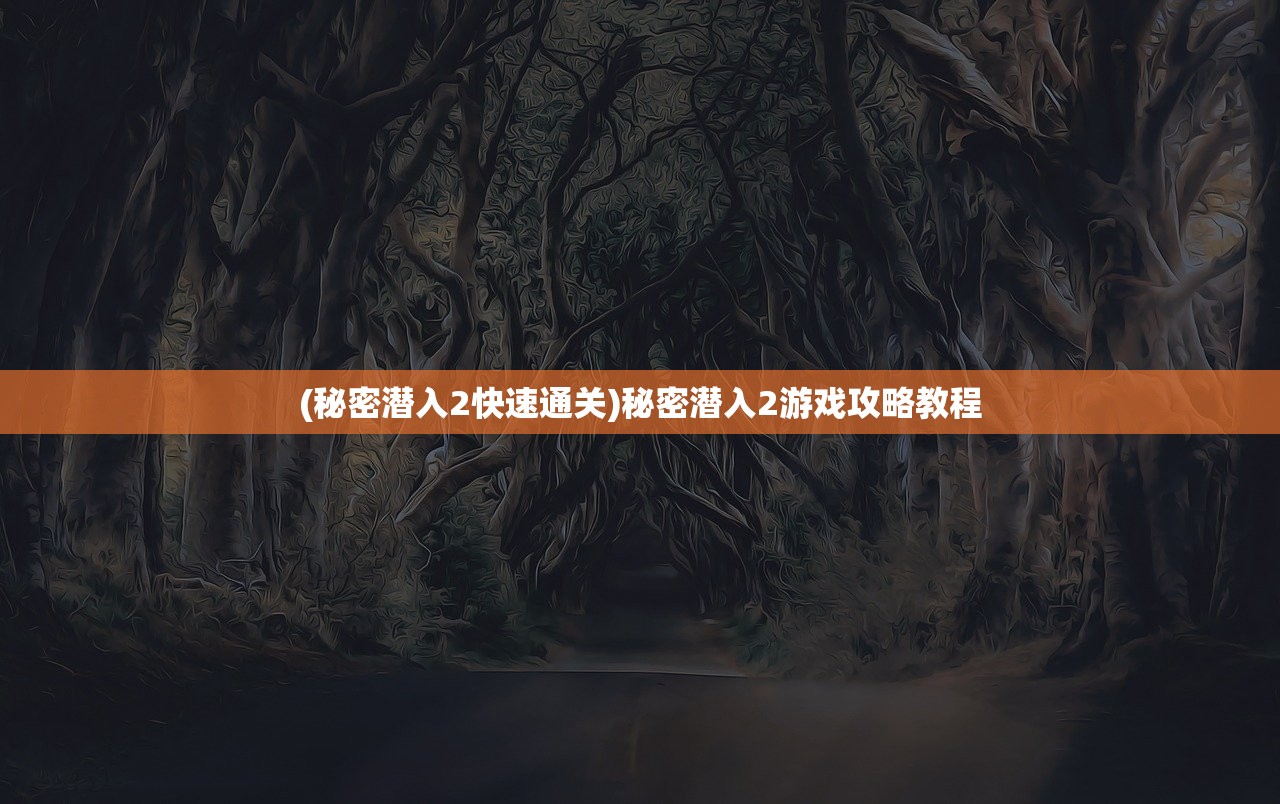(秘密潜入2快速通关)秘密潜入2游戏攻略教程
