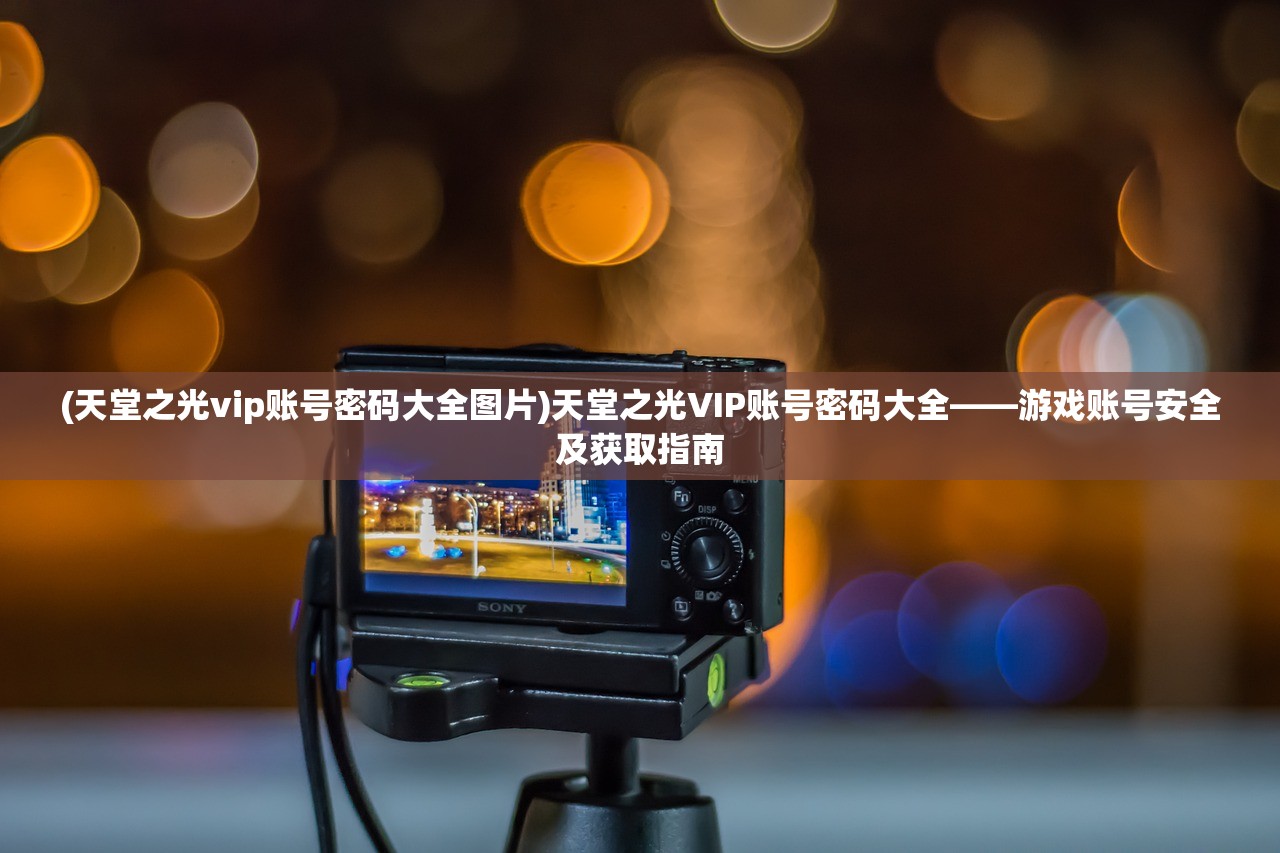 (天堂之光vip账号密码大全图片)天堂之光VIP账号密码大全——游戏账号安全及获取指南