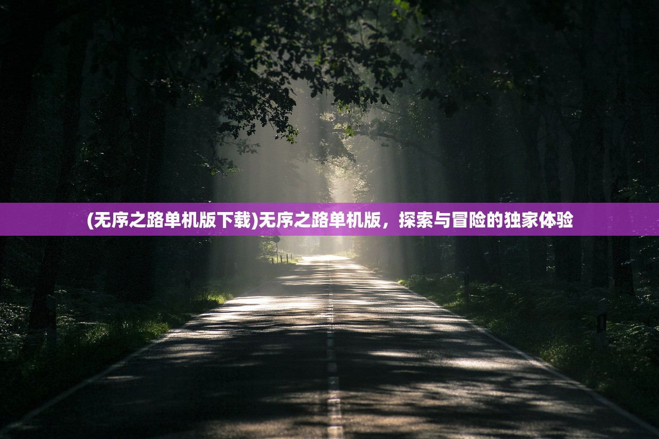 (无序之路单机版下载)无序之路单机版，探索与冒险的独家体验