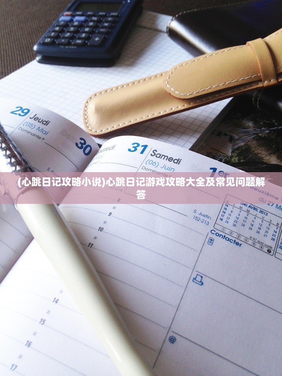 (心跳日记攻略小说)心跳日记游戏攻略大全及常见问题解答