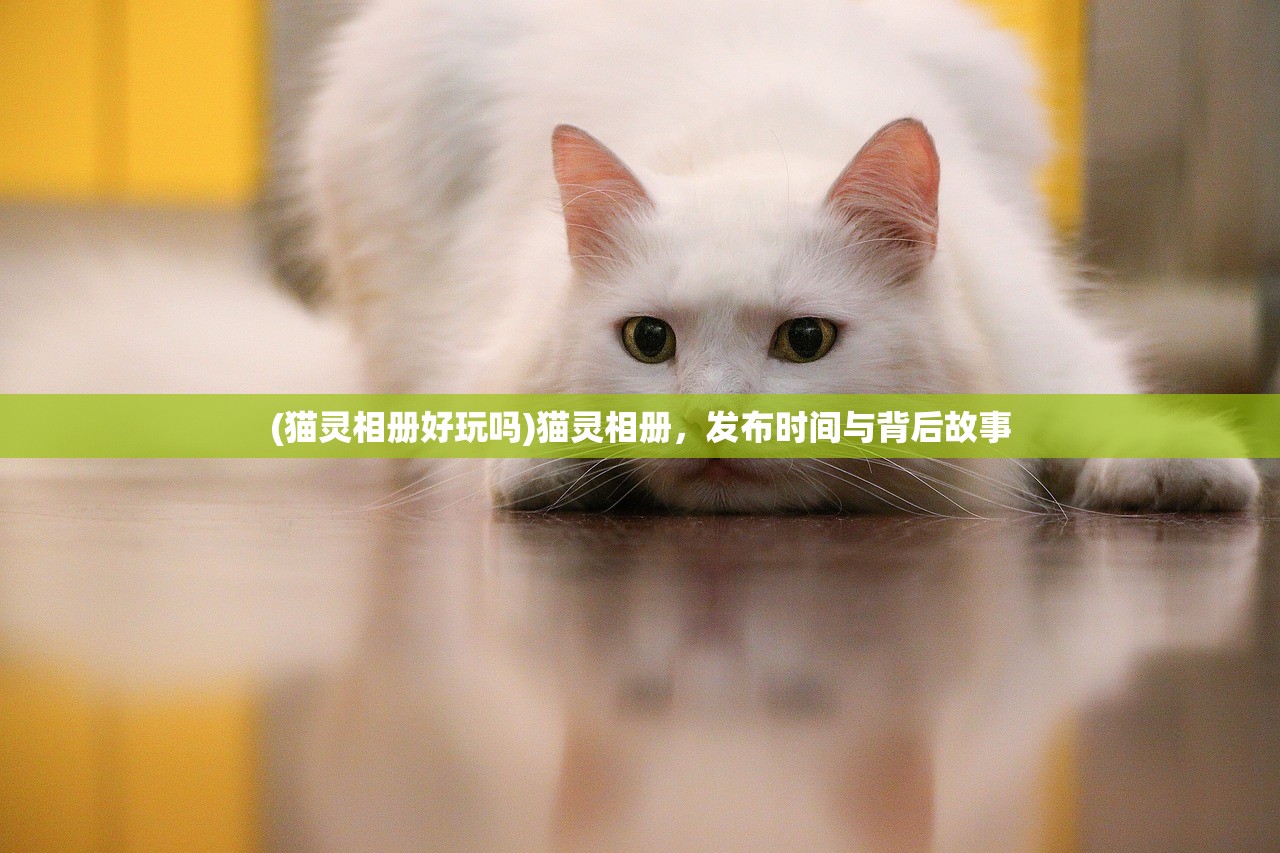 (猫灵相册好玩吗)猫灵相册，发布时间与背后故事