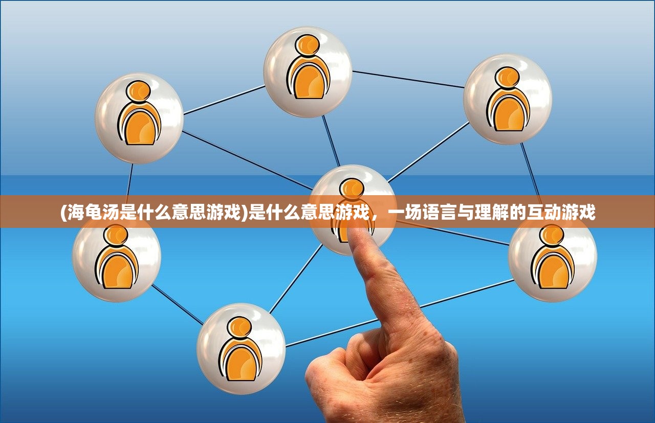 (海龟汤是什么意思游戏)是什么意思游戏，一场语言与理解的互动游戏