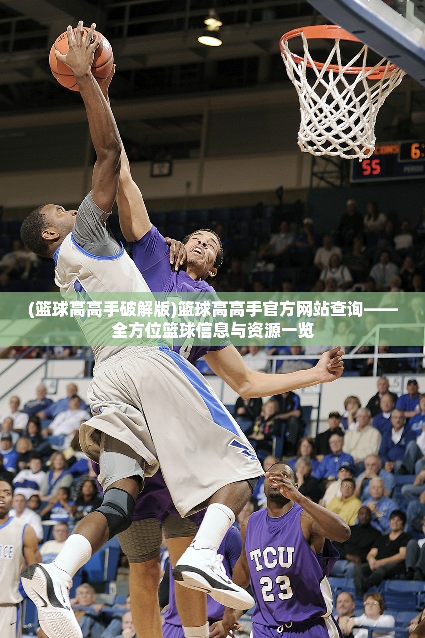 (篮球高高手破解版)篮球高高手官方网站查询——全方位篮球信息与资源一览