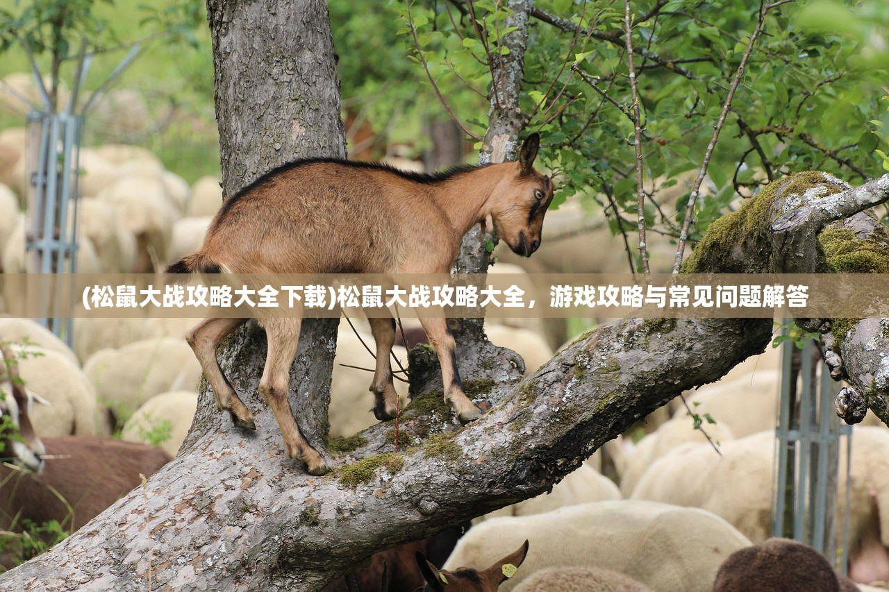 (松鼠大战攻略大全下载)松鼠大战攻略大全，游戏攻略与常见问题解答