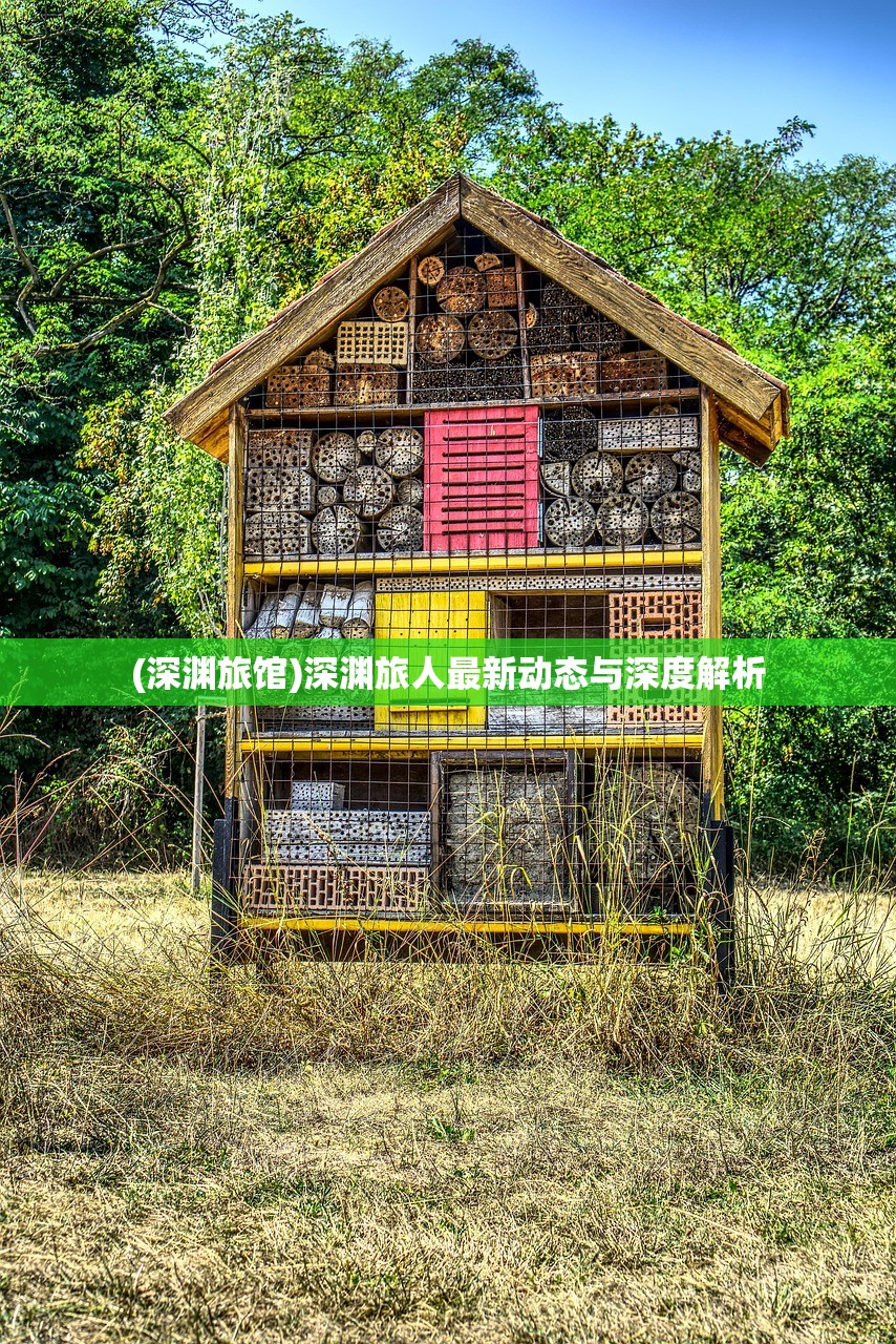 (深渊旅馆)深渊旅人最新动态与深度解析