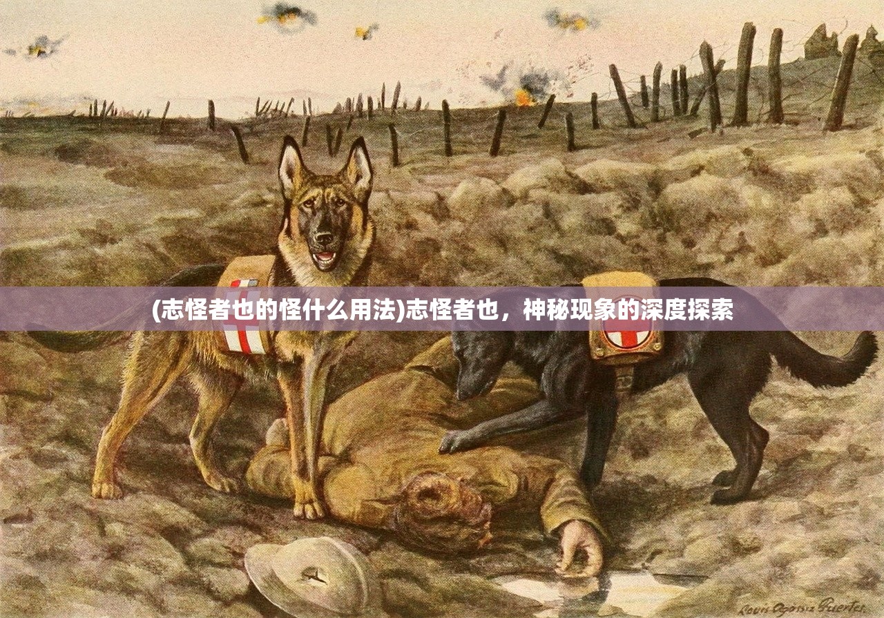 (志怪者也的怪什么用法)志怪者也，神秘现象的深度探索