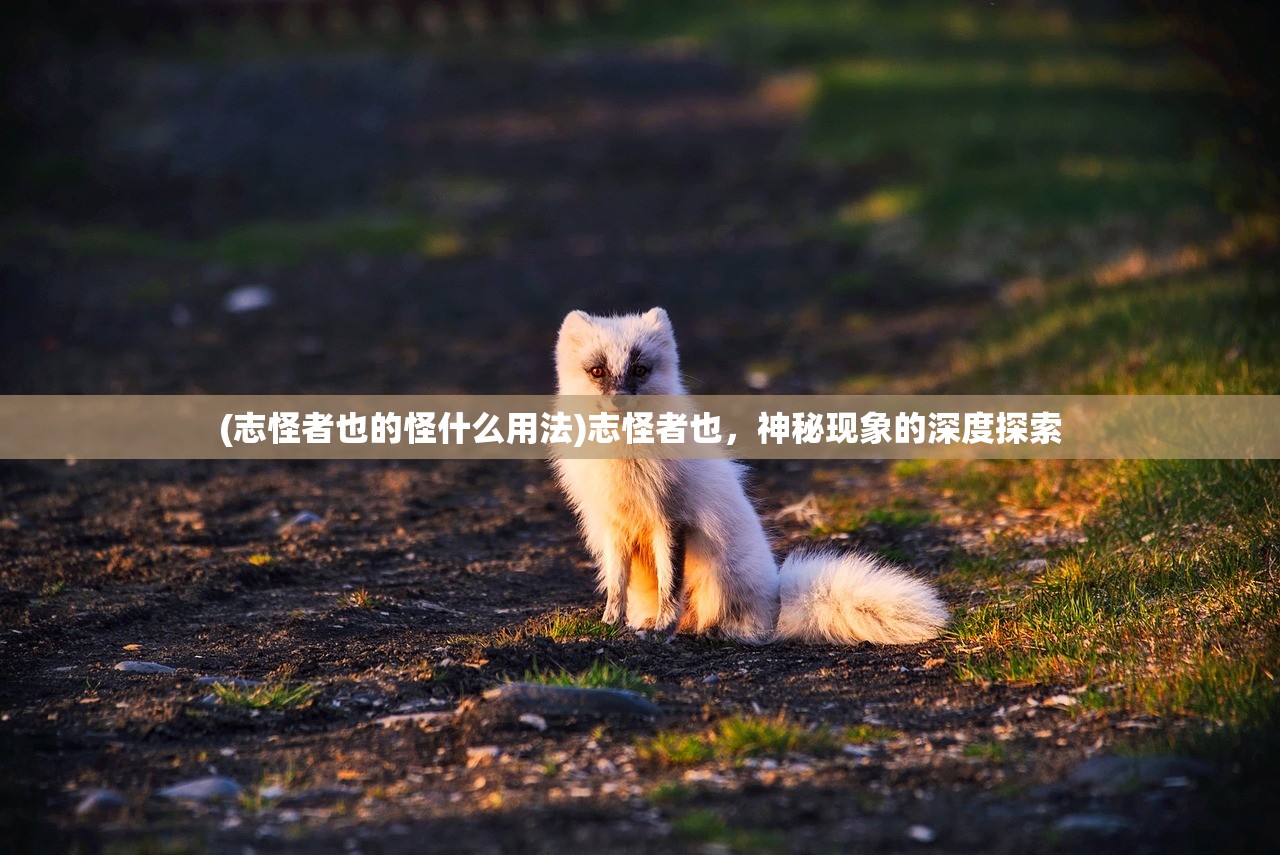 (志怪者也的怪什么用法)志怪者也，神秘现象的深度探索