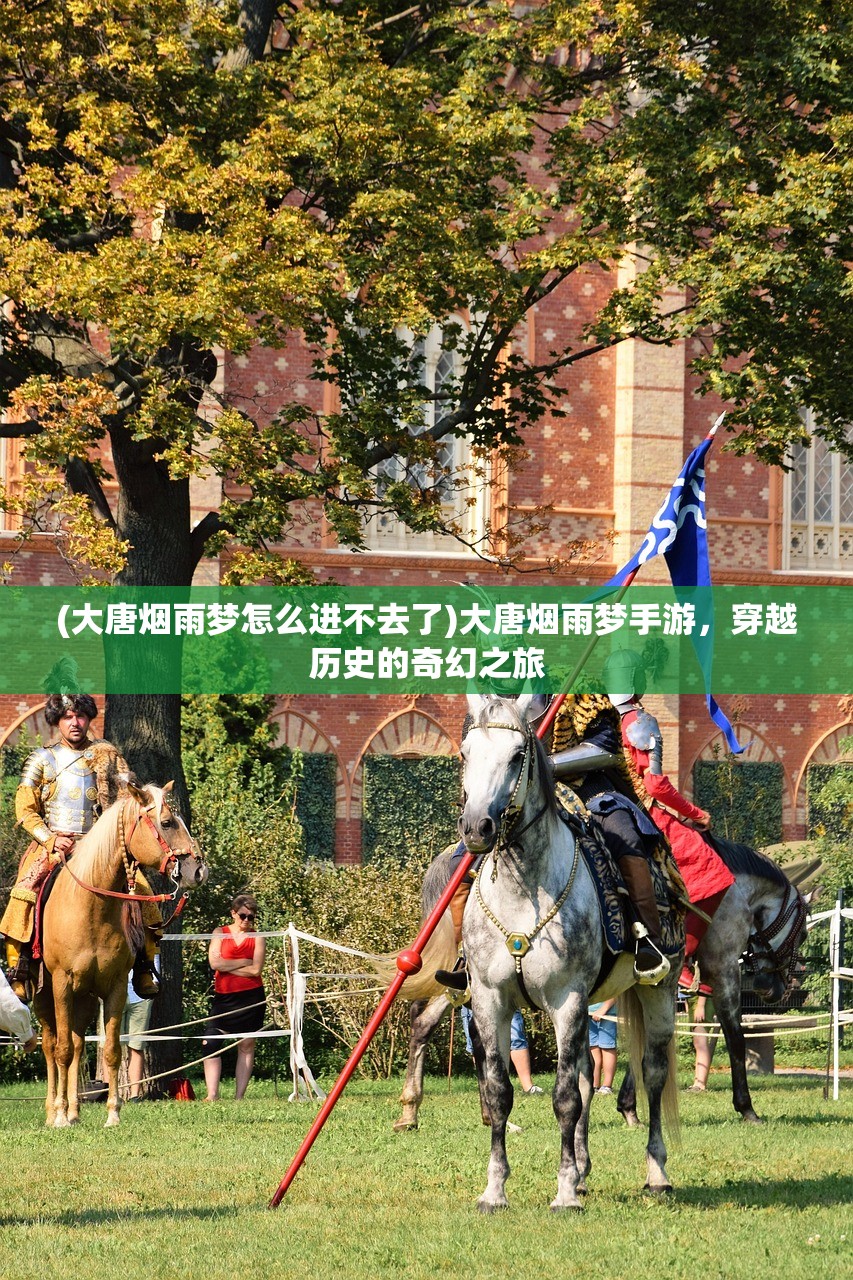 (大唐烟雨梦怎么进不去了)大唐烟雨梦手游，穿越历史的奇幻之旅