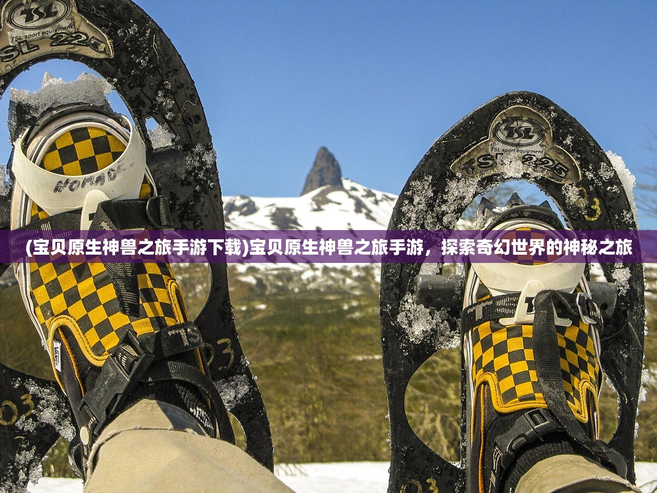 (宝贝原生神兽之旅手游下载)宝贝原生神兽之旅手游，探索奇幻世界的神秘之旅