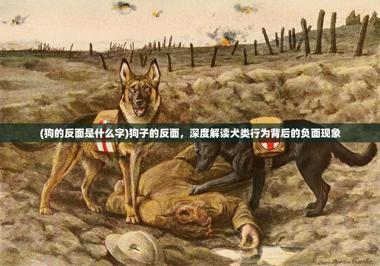 (狗的反面是什么字)狗子的反面，深度解读犬类行为背后的负面现象