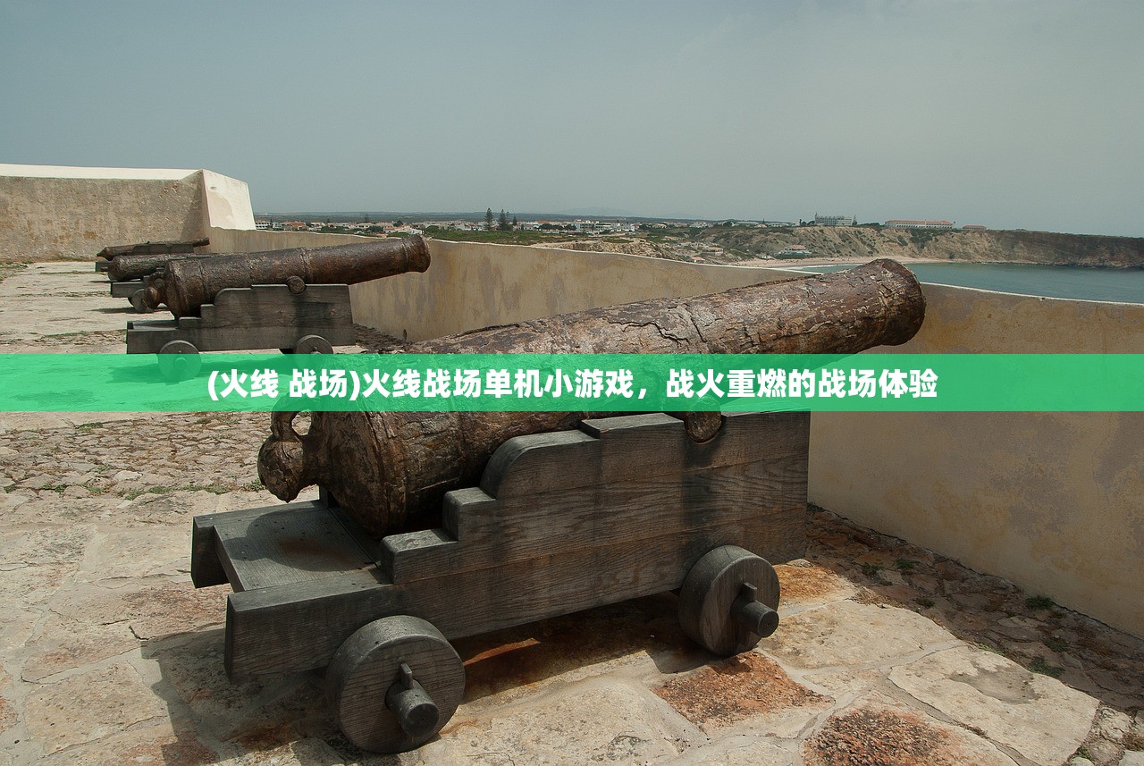 (火线 战场)火线战场单机小游戏，战火重燃的战场体验