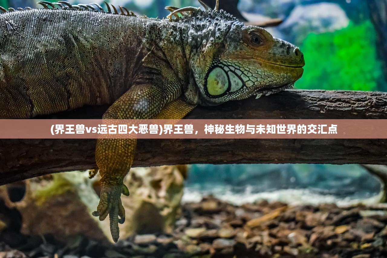 (界王兽vs远古四大恶兽)界王兽，神秘生物与未知世界的交汇点