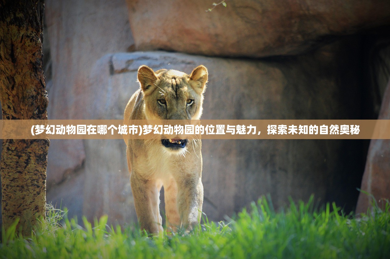 (梦幻动物园在哪个城市)梦幻动物园的位置与魅力，探索未知的自然奥秘